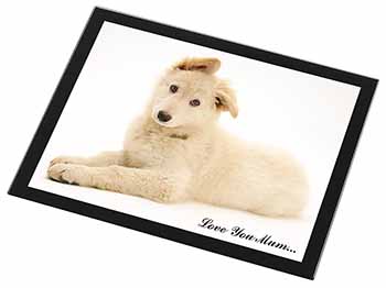 White German Shepherd 