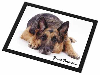 German Shepherd Dog 