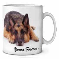 German Shepherd Dog 