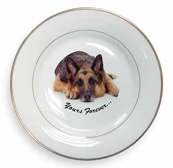 German Shepherd Dog 