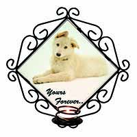 White German Shepherd 