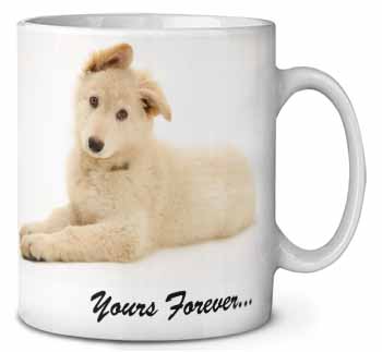 White German Shepherd 