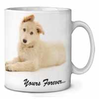 White German Shepherd 