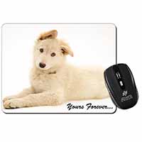 White German Shepherd 