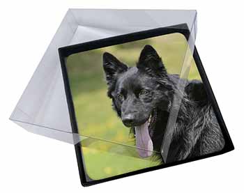 4x Black German Shepherd Picture Table Coasters Set in Gift Box