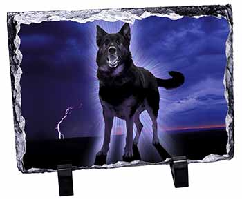 Black Night German Shepherd Dog, Stunning Photo Slate