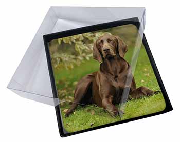 4x German Pointer Dog Picture Table Coasters Set in Gift Box
