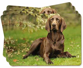 German Pointer Dog Picture Placemats in Gift Box