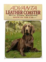 German Pointer Dog Single Leather Photo Coaster