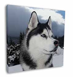 Siberian Husky Dog Square Canvas 12"x12" Wall Art Picture Print