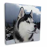 Siberian Husky Dog Square Canvas 12"x12" Wall Art Picture Print
