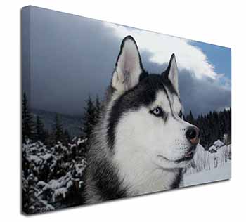 Siberian Husky Dog Canvas X-Large 30"x20" Wall Art Print