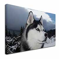 Siberian Husky Dog Canvas X-Large 30"x20" Wall Art Print