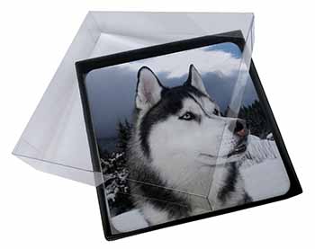4x Siberian Husky Dog Picture Table Coasters Set in Gift Box