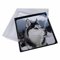 4x Siberian Husky Dog Picture Table Coasters Set in Gift Box