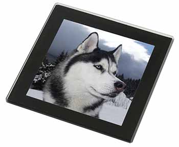 Siberian Husky Dog Black Rim High Quality Glass Coaster