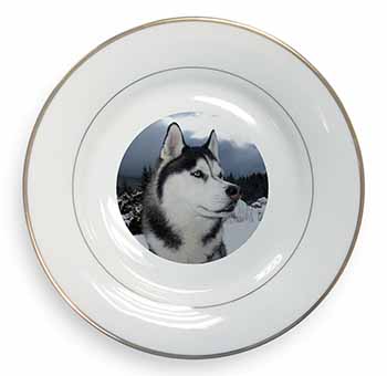 Siberian Husky Dog Gold Rim Plate Printed Full Colour in Gift Box