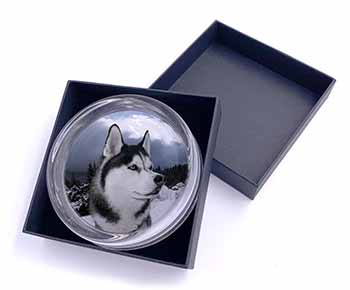 Siberian Husky Dog Glass Paperweight in Gift Box