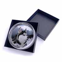 Siberian Husky Dog Glass Paperweight in Gift Box