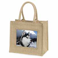Siberian Husky 