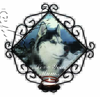 Siberian Husky 
