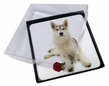 4x Utonagan Dog with Red Rose Picture Table Coasters Set in Gift Box