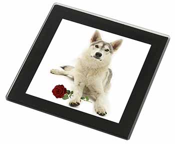 Utonagan Dog with Red Rose Black Rim High Quality Glass Coaster