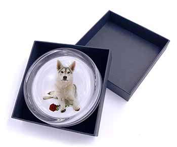 Utonagan Dog with Red Rose Glass Paperweight in Gift Box