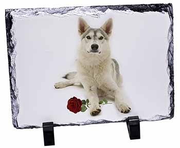Utonagan Dog with Red Rose, Stunning Photo Slate