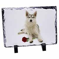 Utonagan Dog with Red Rose, Stunning Photo Slate