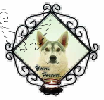 Utonagan Dog 