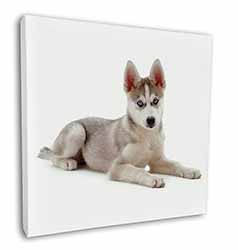 Siberian Husky Puppy Square Canvas 12"x12" Wall Art Picture Print
