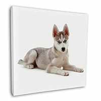 Siberian Husky Puppy Square Canvas 12"x12" Wall Art Picture Print