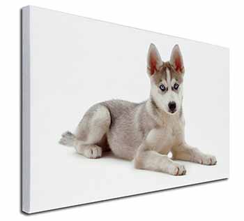 Siberian Husky Puppy Canvas X-Large 30"x20" Wall Art Print
