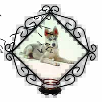 Siberian Husky Puppy Wrought Iron Wall Art Candle Holder