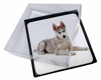 4x Siberian Husky Puppy Picture Table Coasters Set in Gift Box