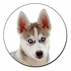 Siberian Husky Puppy Fridge Magnet Printed Full Colour