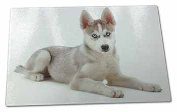 Large Glass Cutting Chopping Board Siberian Husky Puppy