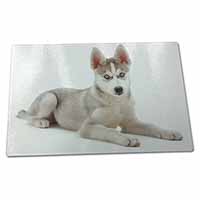 Large Glass Cutting Chopping Board Siberian Husky Puppy