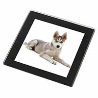 Siberian Husky Puppy Black Rim High Quality Glass Coaster