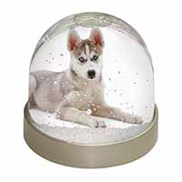 Siberian Husky Puppy Snow Globe Photo Waterball