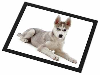 Siberian Husky Puppy Black Rim High Quality Glass Placemat