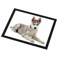 Siberian Husky Puppy Black Rim High Quality Glass Placemat