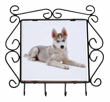 Siberian Husky Puppy Wrought Iron Key Holder Hooks