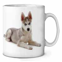 Siberian Husky Puppy Ceramic 10oz Coffee Mug/Tea Cup Printed Full Colour - Advanta Group®