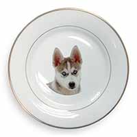 Siberian Husky Puppy Gold Rim Plate Printed Full Colour in Gift Box
