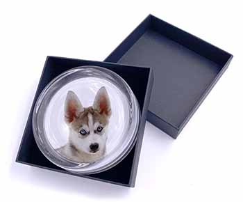 Siberian Husky Puppy Glass Paperweight in Gift Box