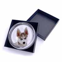 Siberian Husky Puppy Glass Paperweight in Gift Box