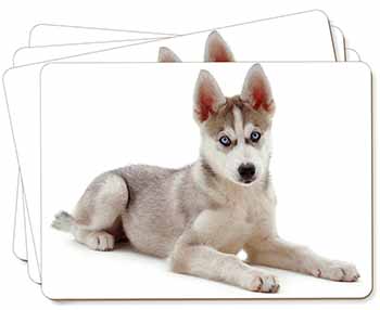 Siberian Husky Puppy Picture Placemats in Gift Box
