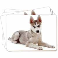 Siberian Husky Puppy Picture Placemats in Gift Box
